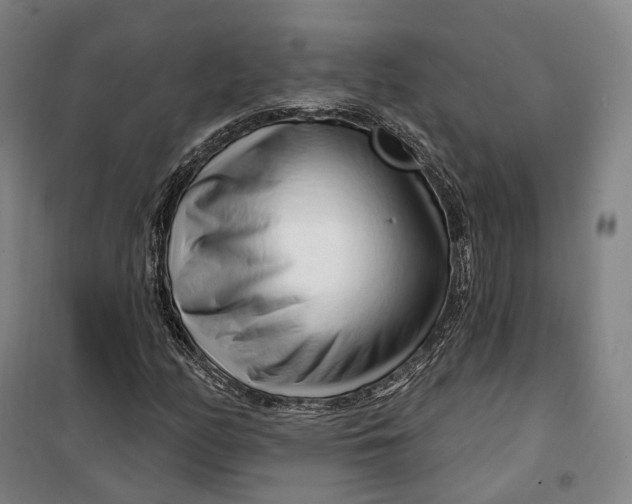 X0000099581158200806061620