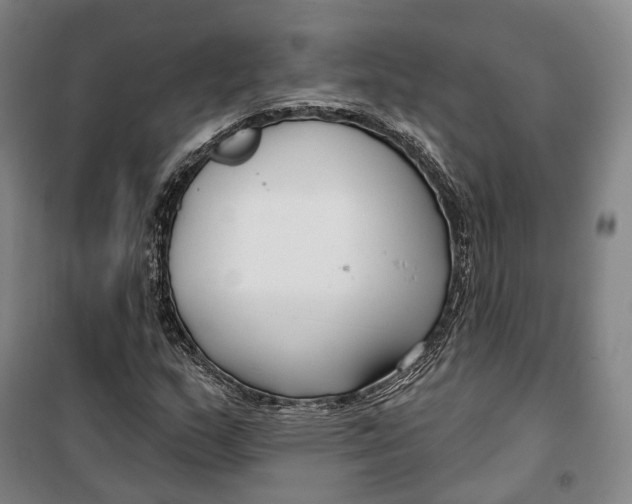 X0000099581159200806061620