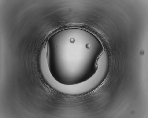 X0000099581161200806061620