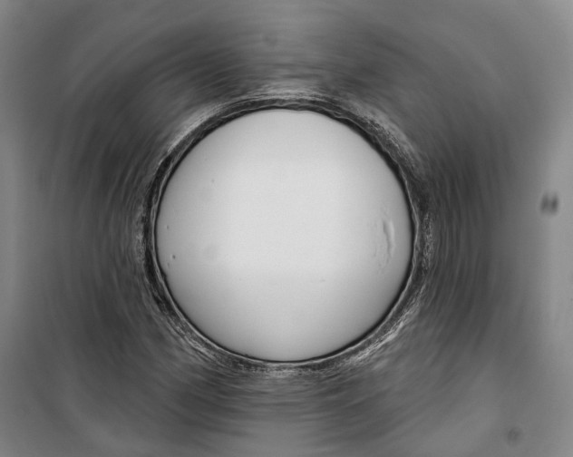 X0000099581162200806061620