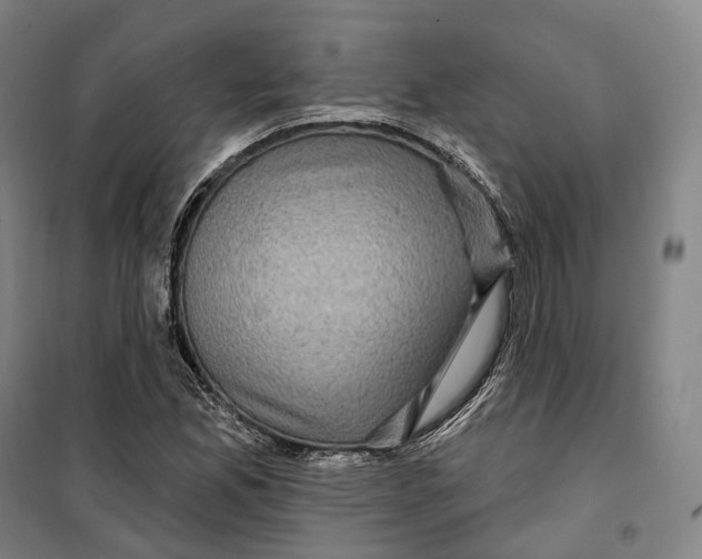 X0000099581165200806061620