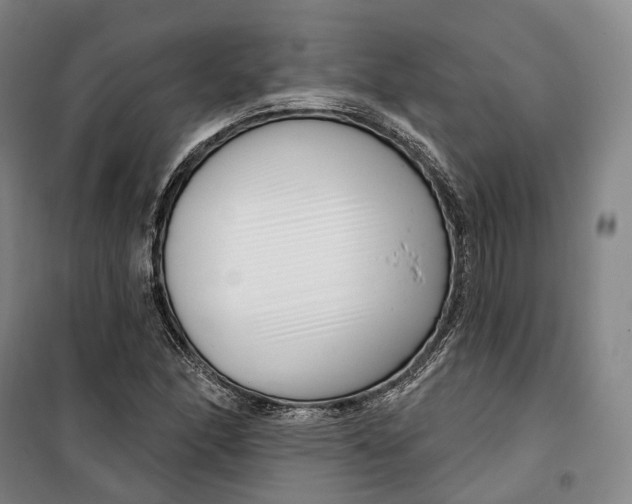 X0000099581166200806061620