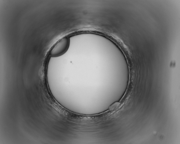 X0000099581167200806061620