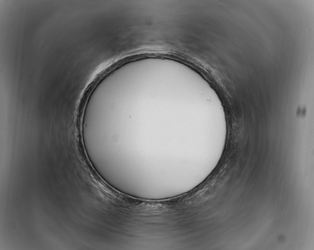 X0000099581168200806061620