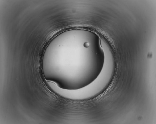 X0000099581169200806061620