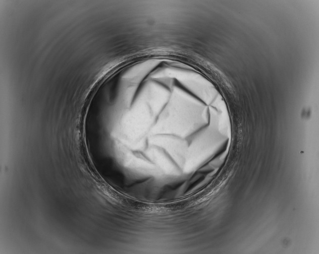 X0000099581170200806061620