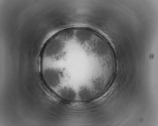 X0000099581171200806061620