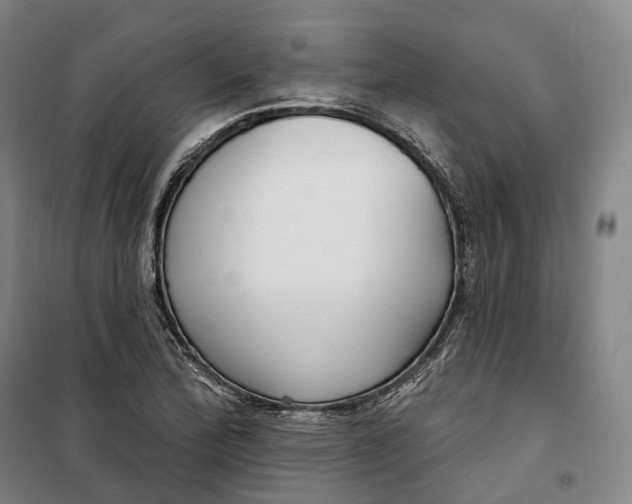 X0000099581172200806061620