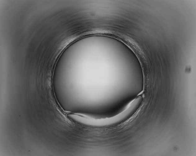 X0000099581177200806061620