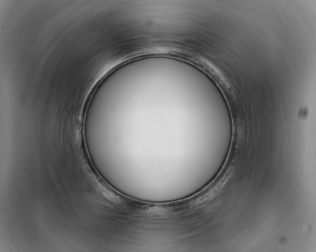 X0000099581178200806061620