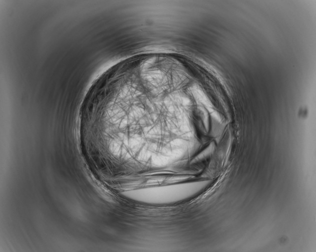 X0000099581179200806061620