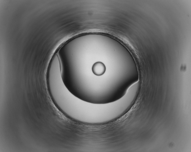 X0000099581181200806061620