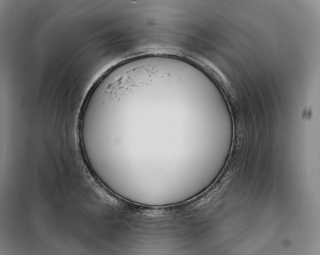 X0000099581182200806061620