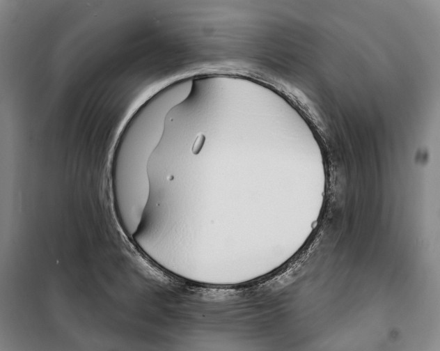 X0000099581184200806061620