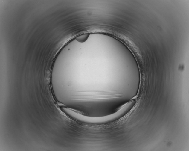 X0000099581185200806061620