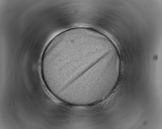 X0000099581187200806061620