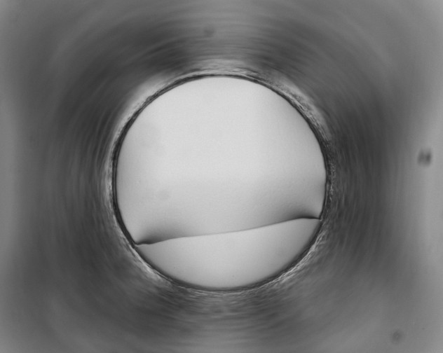 X0000099581188200806061620