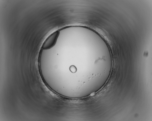 X0000099581189200806061620