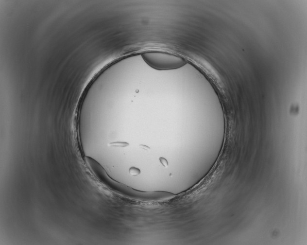 X0000099581190200806061620