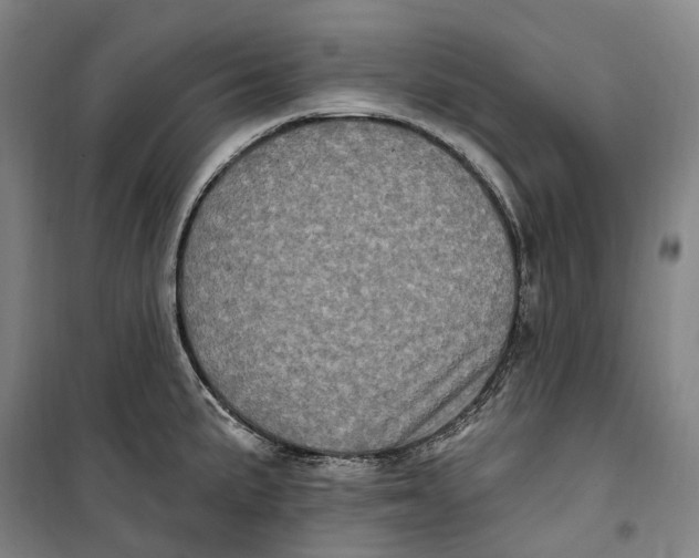 X0000099581191200806061620