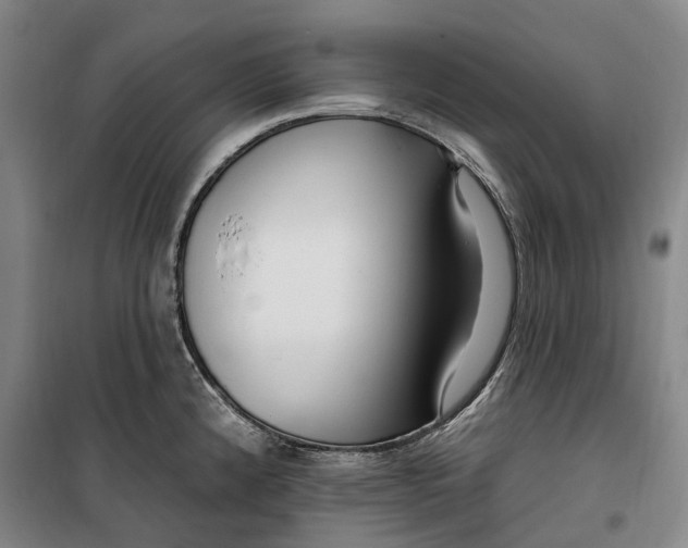 X0000099581192200806061619