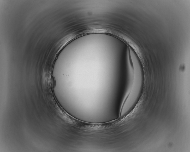 X0000099581193200806061619