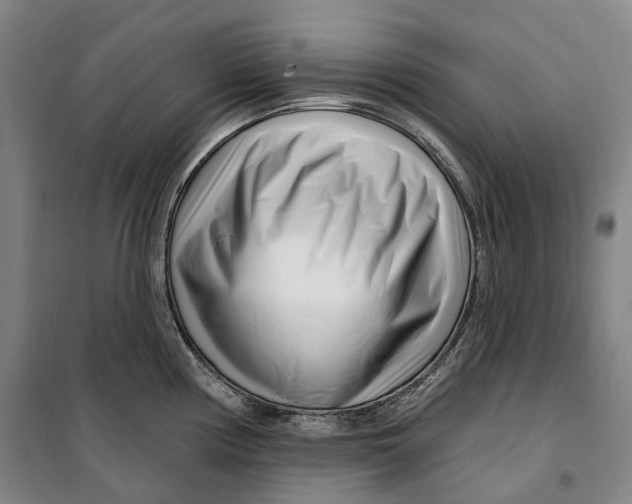 X0000099581194200806061619