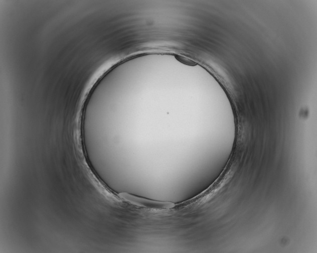 X0000099581196200806061619