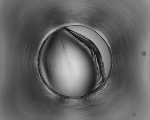 X0000099581197200806061619