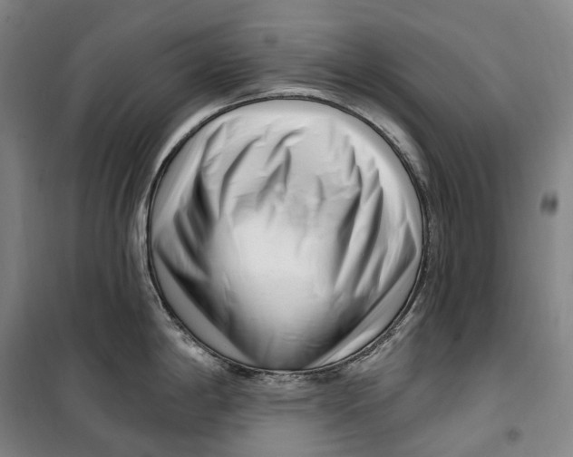 X0000099581198200806061619