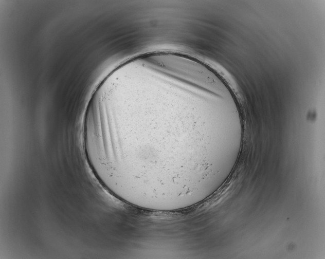 X0000099581199200806061619