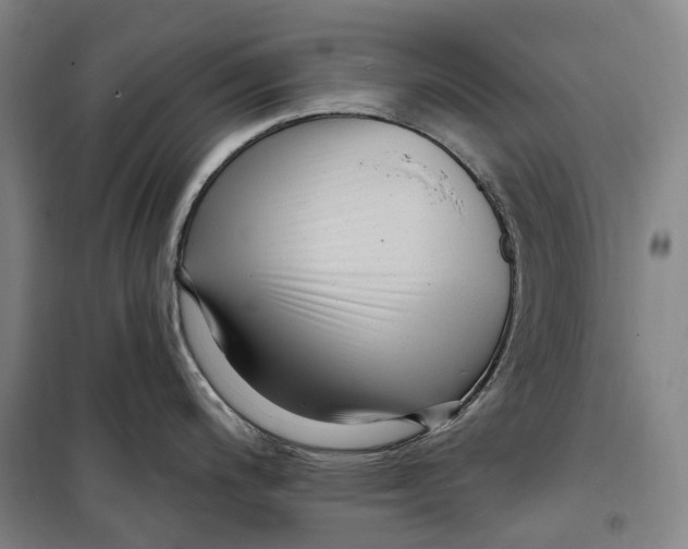 X0000099581200200806061619