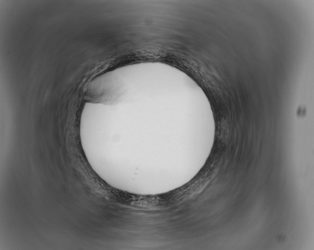 X0000099581201200806061619