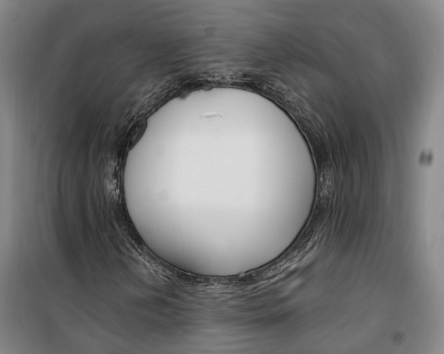 X0000099581202200806061619