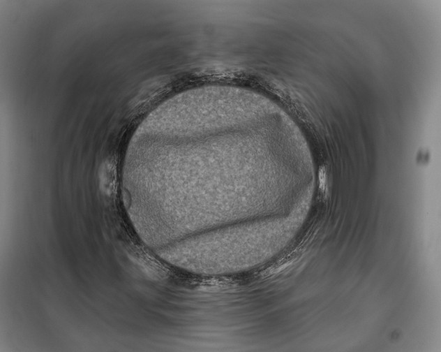 X0000099581203200806061619