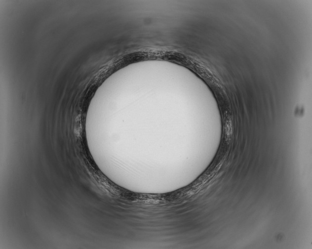 X0000099581204200806061619