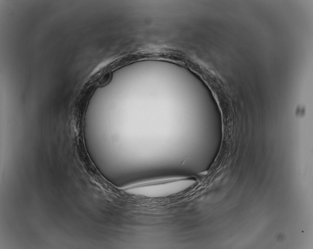 X0000099581206200806061619