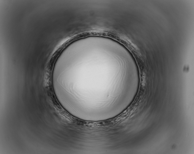 X0000099581208200806061619