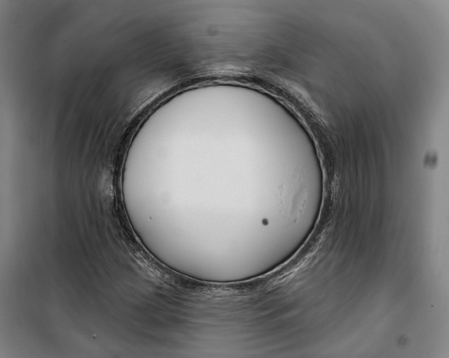 X0000099581209200806061619