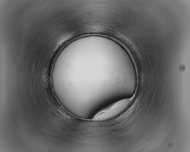 X0000099581210200806061619