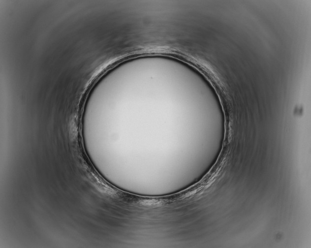 X0000099581212200806061619