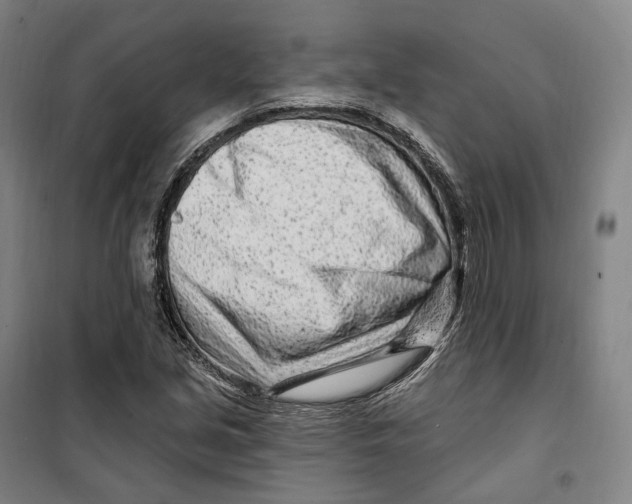 X0000099581213200806061619