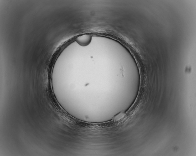 X0000099581214200806061619