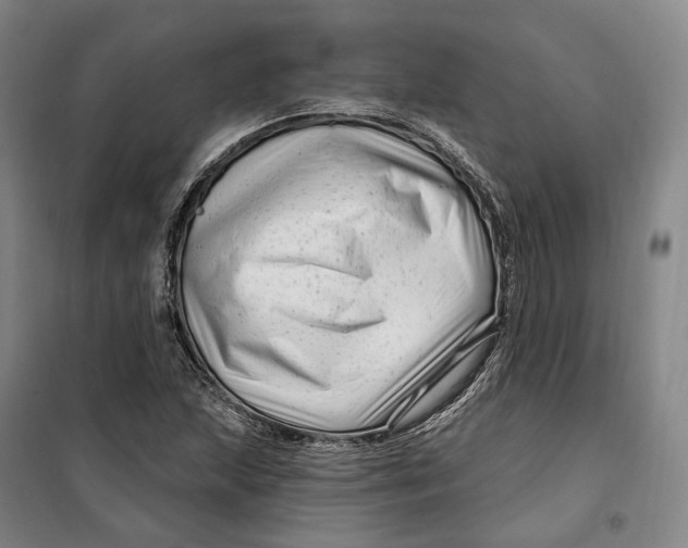 X0000099581215200806061619