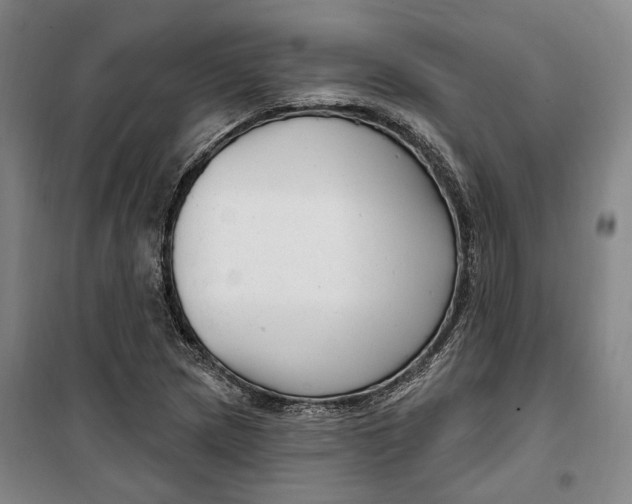 X0000099581217200806061619