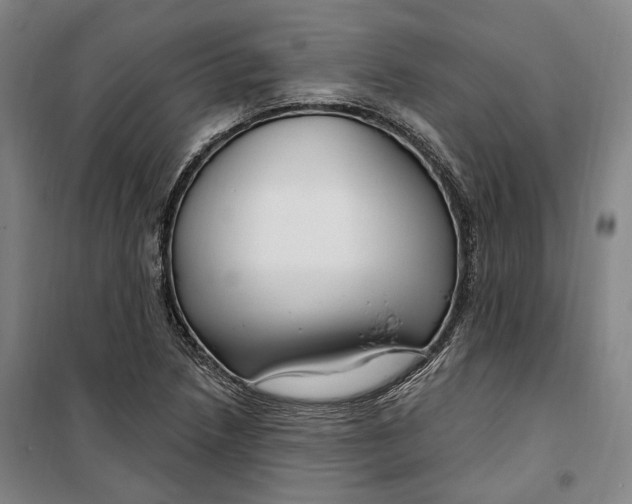 X0000099581218200806061619