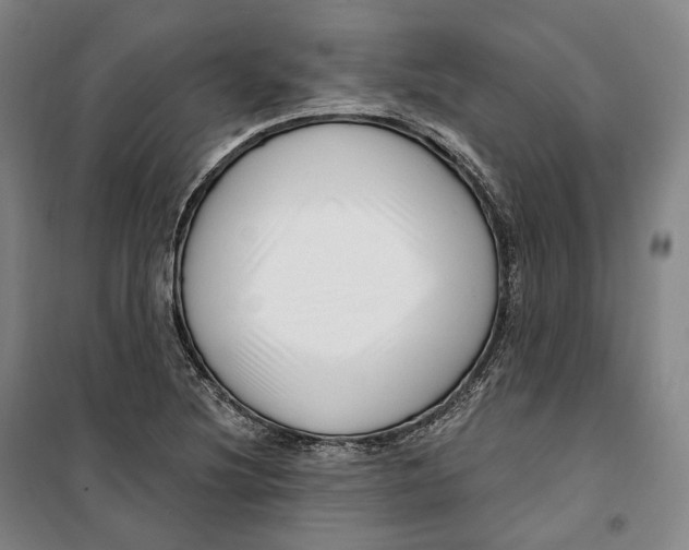 X0000099581220200806061619