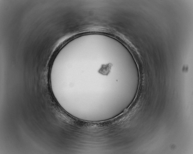 X0000099581222200806061619