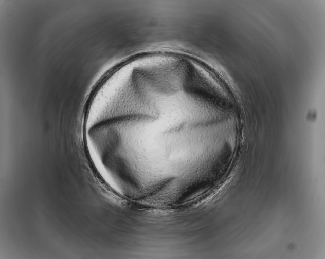 X0000099581224200806061619