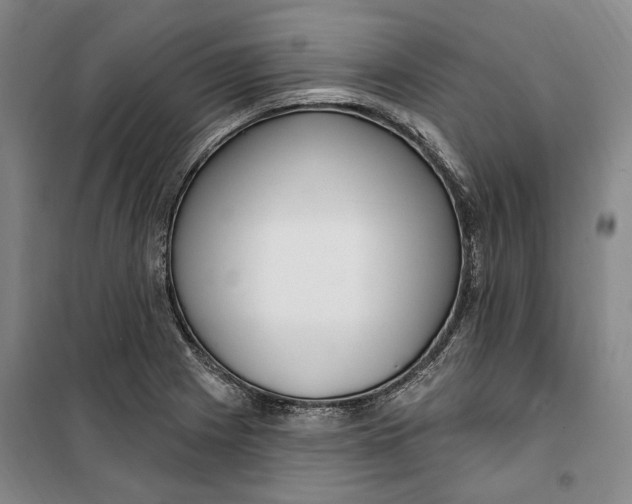 X0000099581225200806061619